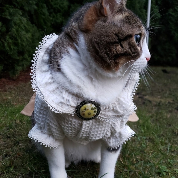 Vintage Mid-Century Cameo Floral Dress Clip - Picture 4 of 7